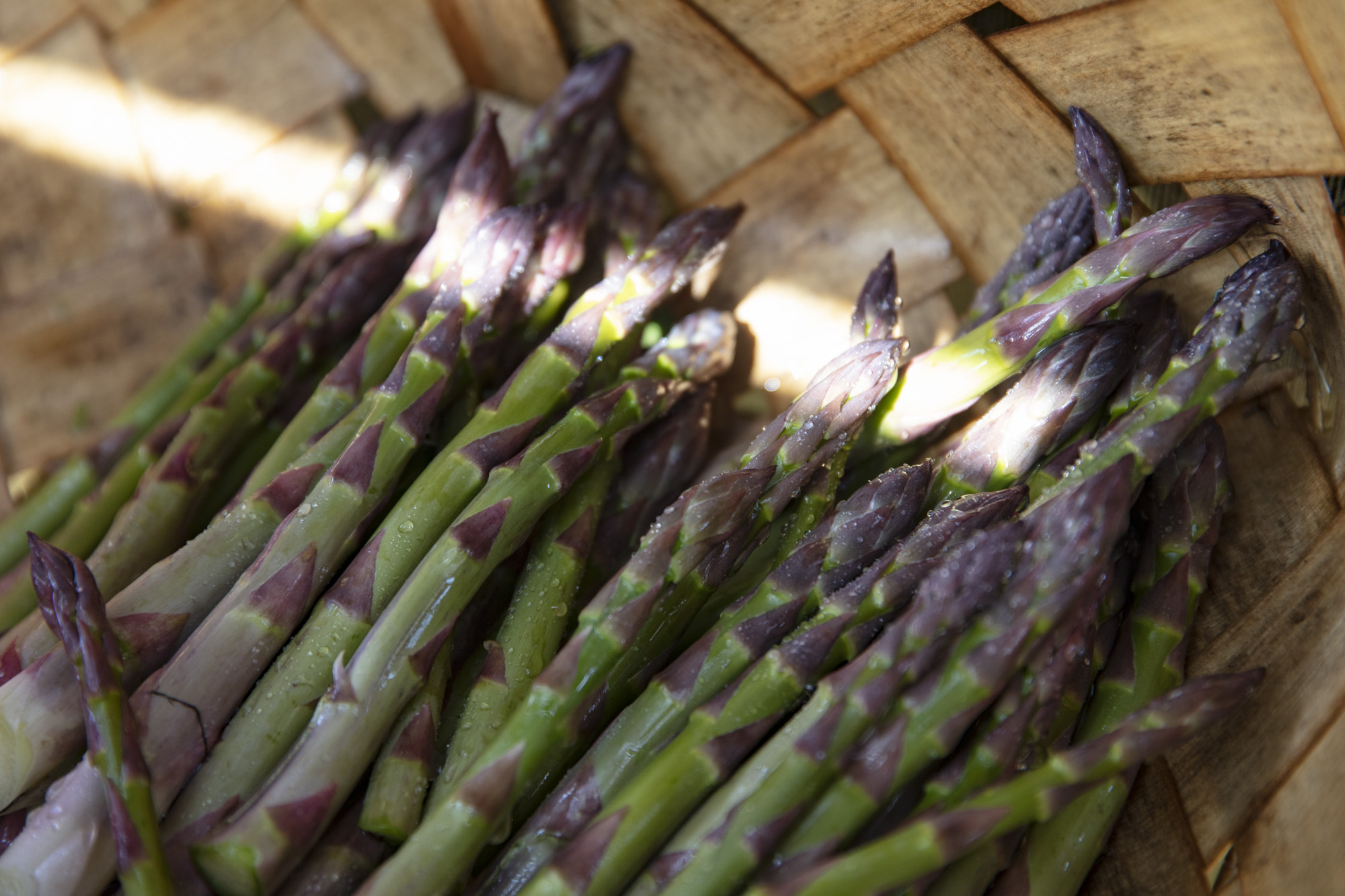 Photo of Sagaponack Farm Distillery