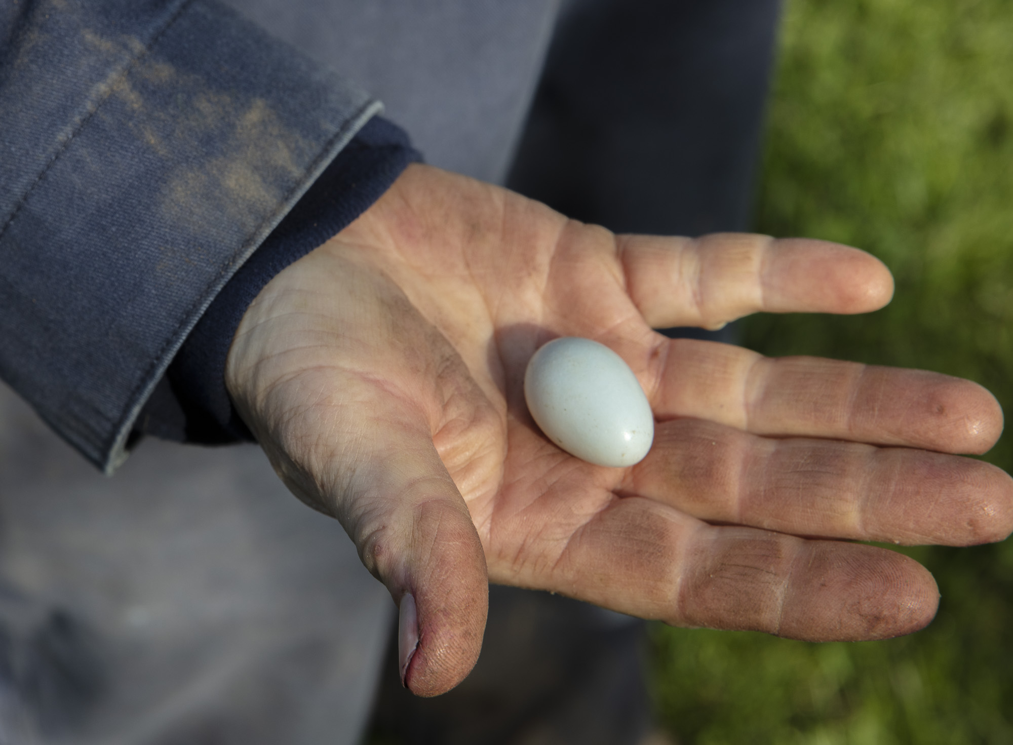 Photo of Sagaponack Farm Distillery