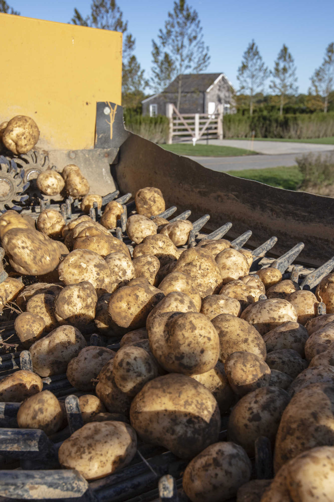 Photo of Sagaponack Farm Distillery