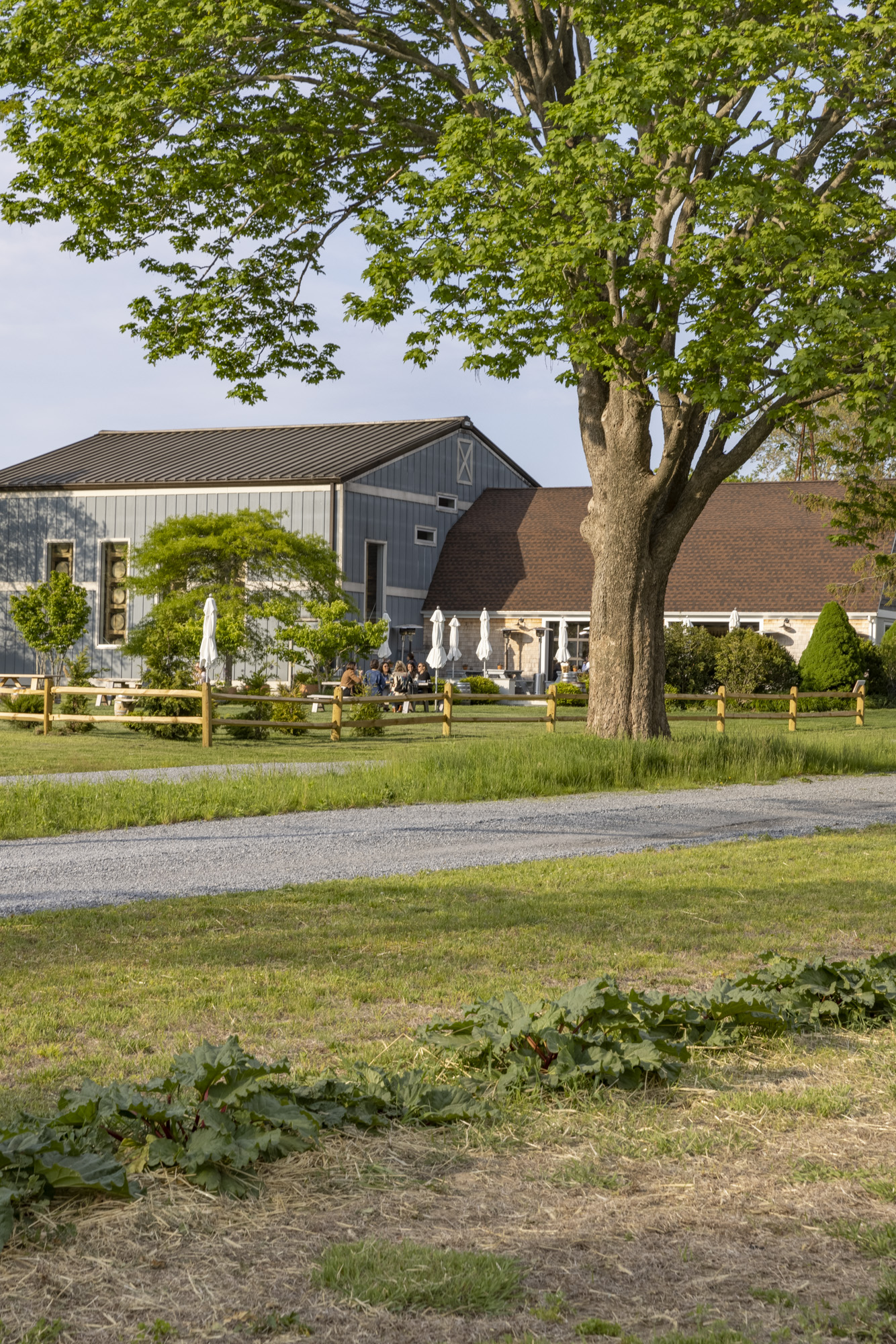 Photo of Sagaponack Farm Distillery