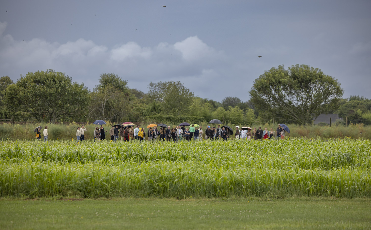 Image 3: Photo of Sagaponack Farm Distillery