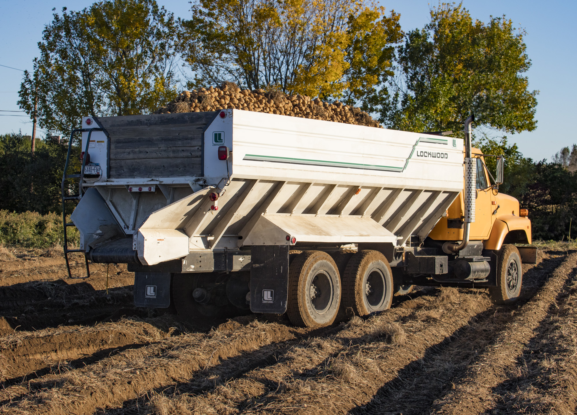 Photo of Sagaponack Farm Distillery
